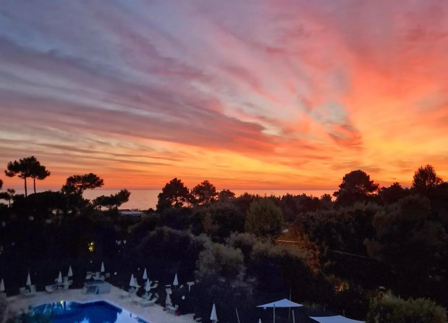 Hotel Villa Elsa Marina di Massa